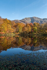 刈込池の紅葉（福井県）