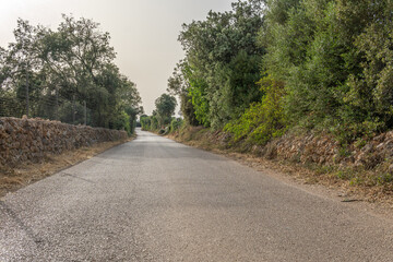 Rural road in the interior of the island of Mallorca