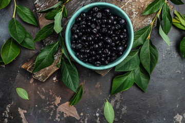 Superfoods antioxidant of indian mapuche. Bowl of fresh maqui berry on dark background, top view