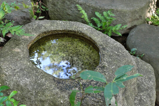 日本庭園に趣を添える　お茶室前の【蹲（つくばい）】