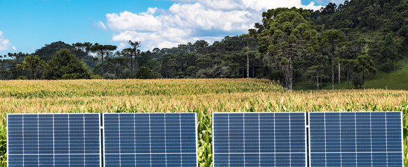 Solar energy panel in rural area with corn plantation.