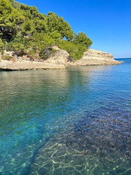 Beautiful blue turquoise sea clear water in scenic bay at summer. Pine rocky island in the sea.