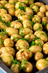 Fresh Young Potatoes Fried with Dill on Oven Tray Top View Vertical