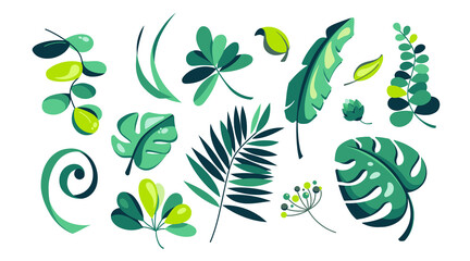Set of summer tropical leaves on white background in cartoon style Different green leaf collection