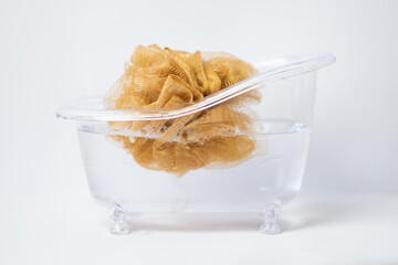 sponge in transparent bathtub with water