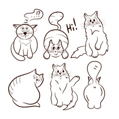 Fototapeta premium A set of funny cats. Sketch on a white background.