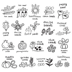 Collection of seeds icons. Outline vector hand drawn illustrations on white background.