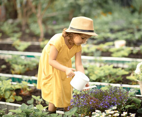 Little cute girl child with water can watering flowers in a garden backyard. Kids gardening. Outdoors children activity.