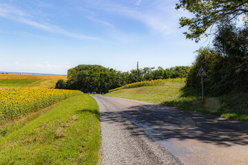 road in the countryside