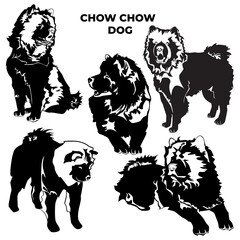 Chow chow dog black silhouettes, vector illustration