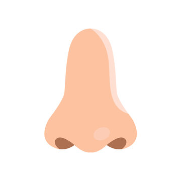 Human Nose Flat Clip Art Illustration Isolated Icon