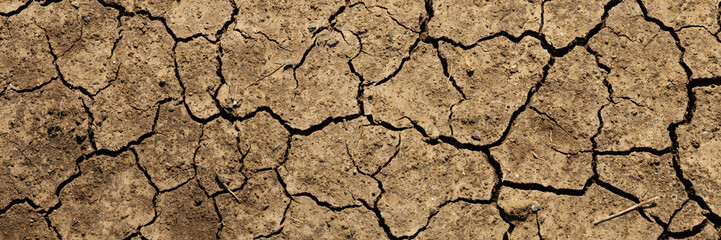 Texture of cracked dried soil. Dry ground with cracks. Brown rough surface of the soil during summer drought. Wide panoramic background for design. Ecology, climate change and global warming on Earth.