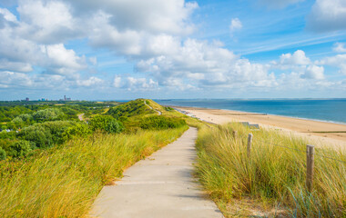 Dunes herbeuses vertes le long d& 39 une plage de sable et d& 39 une mer sous un ciel bleu en plein soleil en été, Walcheren, Zélande, Pays-Bas, juillet 2022