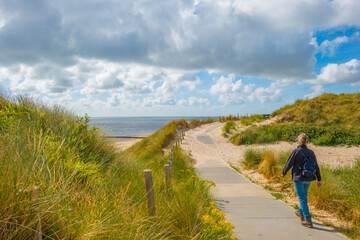 Green grassy dunes along a sand beach and a sea under a blue sky in  bright sunlight in summer, Walcheren, Zeeland, the Netherlands, July, 2022