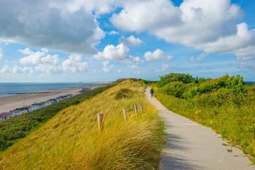 Fotobehang Noordzee, Nederland Groene met gras begroeide duinen langs een zandstrand en een zee onder een blauwe hemel in fel zonlicht in de zomer, Walcheren, Zeeland, Nederland, juli 2022