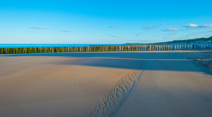 Sand  beach along a sea under a blue sky at a bright sunrise in summer, Walcheren, Zeeland, the Netherlands, July, 2022