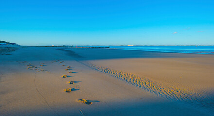 Sand  beach along a sea under a blue sky at a bright sunrise in summer, Walcheren, Zeeland, the Netherlands, July, 2022