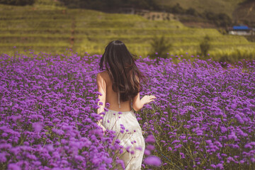 woman in lavender field