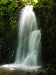Fototapeta na wymiar Waterfall illuminated by sunlight filtering through the trees