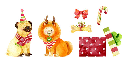 Watercolor Christmas dog illustration. Hand-drawn cute puppy graphics. Cute baby animals, pet friendly. Christmas decoration. Winter holiday graphics. Pomeranian spitz dog illustration.