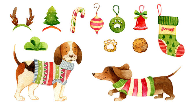 Watercolor Christmas dog illustration. Hand-drawn cute puppy graphics. Cute baby animals, pet friendly. Christmas decoration. Winter holiday graphics. Beagle dog, dachshund illustration
