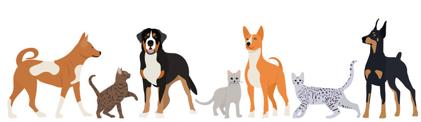 cats and dogs on a white background in a flat style, isolated, vector