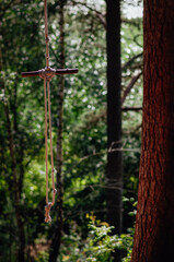 rope swing next to a tree