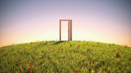 An open door in the meadow, 3d render   © Василь Чейпеш