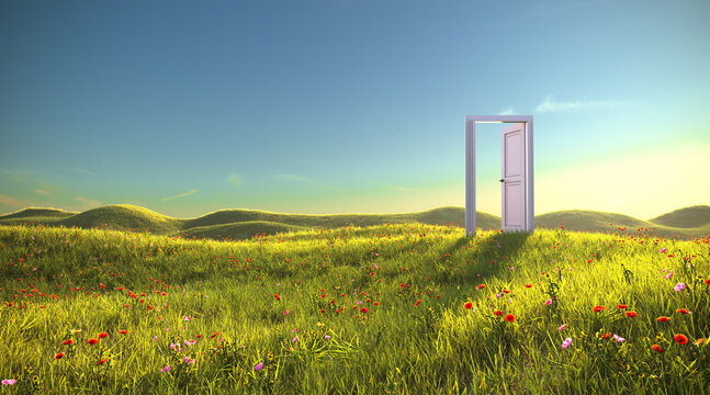 An open door in the meadow, 3d render 

