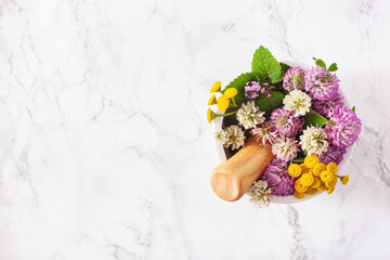medical flowers herbs in mortar. alternative medicine. clover tansy thyme melissa