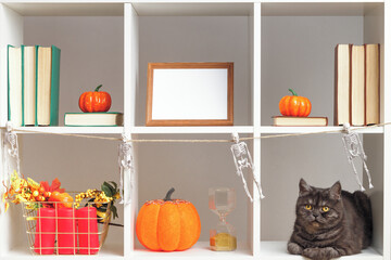 Fototapeta premium Home interior decor for Halloween. White shelves black cat photo frames books pumpkins.