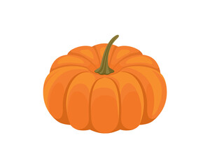 Pumpkin vector illustration. Vegetable flat cartoon icon.