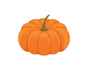 Obraz premium Pumpkin vector illustration. Vegetable flat cartoon icon.