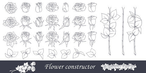 Rose flowers set, isolated line sketch. Blooming buds, leaves and stems. Outline elements with white back for constructing a floral compositions, wedding design, greeting card, coloring book, tattoo.