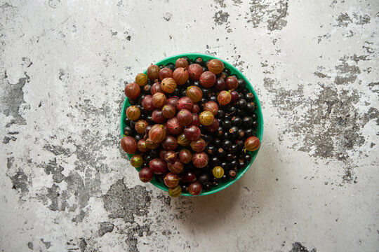 Porzeczka czarna, Ribes nigrum, agrest, Ribes uva-crispa