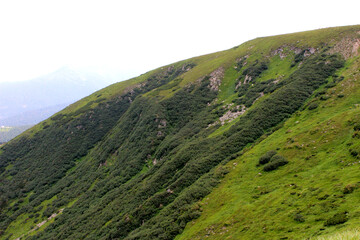 Obraz premium landscape with hills