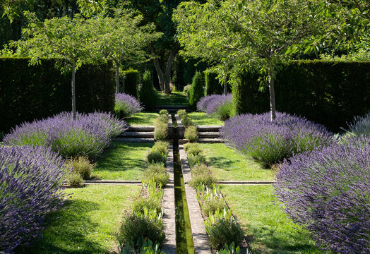 Landscaped garden with lavender and flowing water at Jardin Domaine de Poulaines in the Loire Valley, France. 