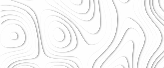 Fototapeta premium Abstract paper cut white background, white paper cut background abstract realistic papercut decoration textured . 3d topography relief. Vector topographic illustration. Cover layout template.