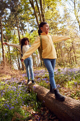Naklejka na ściany i meble Two Children Walking Through Bluebell Woods In Springtime Balancing On Log