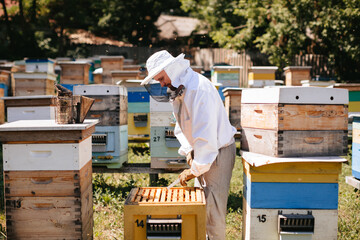 A beekeeper in a protective suit is working with bees and hives in the apiary. Beekeeping in...
