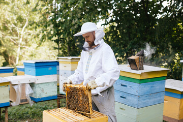 Beekeeper in protective suit removing honeycomb from beehive. Beekeeping. Beekeeper is working with bees and beehives on apiary. 