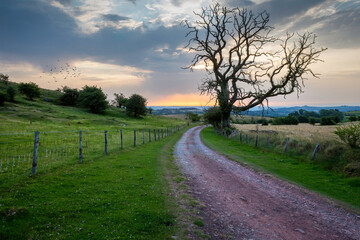 A path through the hills at sunset in South Wales UK
