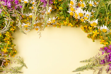 Frame of medicinal herbs (St. John's wort, ivan-tea, ivan-grass, chamomile pharmacy, kipreya) close-up on a yellow background. Space for text. Traditional medicine.