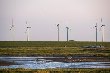 View over the Langwarder Groden towards wind turbines in Butjadingen/Germany - obrazy, fototapety, plakaty