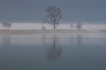 The wetland of the natural reserve of pian di Spagna, Val chiavenna, with the early morning fog, near the town of Colico, Italy - March 2022.