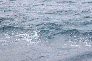 waves of the sea