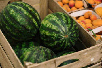 Fresh seasonal watermelons in a farmer's market in Trieste, Italy