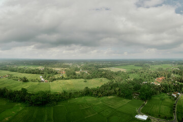 Obraz premium aerial high angle view of rice padi fields in indonesia