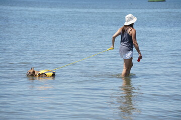 At the dog park beach 