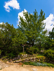 木曽路　妻籠宿の風景